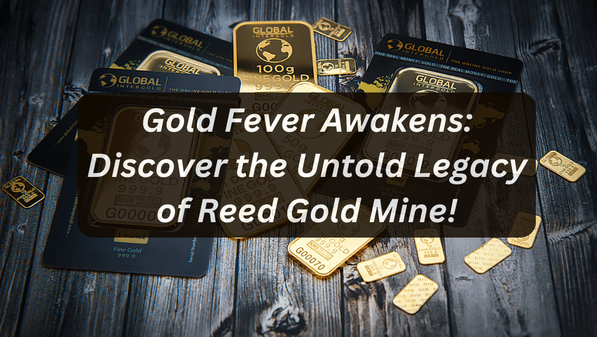 Gold Fever Awakens: Discover the Untold Legacy of Reed Gold Mine!